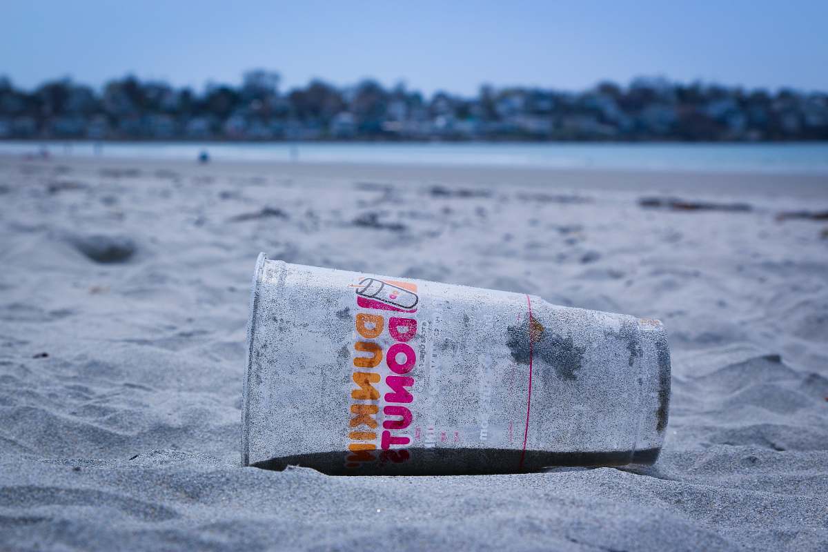 nahant beach Dunkin Donut disposable cup on the sand nahant